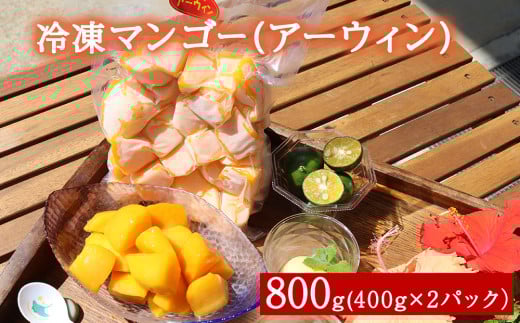 冷凍マンゴー(アーウィン) 800g(400g×2)沖縄県今帰仁村15000鍋セット・総菜・加工食品その他 鍋セット・総菜・加工食品