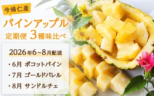 【定期便 限定100セット】今帰仁産パインアップル3種味比べセット【2026年6月・7月・8月 3回配送】先行予約沖縄県今帰仁村40000果物・フルーツその他 果物・フルーツ