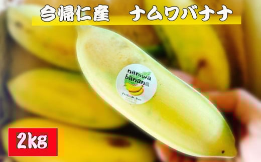 今帰仁村産ナムワバナナ(農薬不使用)2kg沖縄県今帰仁村13000果物・フルーツその他 果物・フルーツ