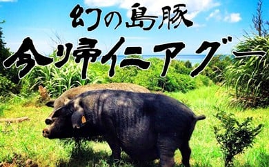 YuAmAO[v܂邲ƈꓪi31kgjz͍ő4܂ŉ\łBꌧAm1000000ؓ