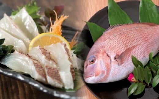 鯛 タイ 刺身 まるごと 1匹分 鮮魚 日本最高峰評価のマダイ ブランド 海援鯛 魚 産地直送 高知県 須崎市高知県須崎市16000魚介・海産物鮮魚