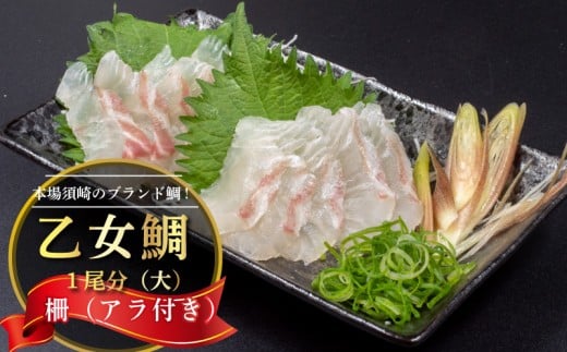真鯛 刺身 用 柵 アラ付き 1尾 セット 1.3kg〜1.5kg 本場須崎のブランド 鯛 乙女鯛 新鮮 冷蔵 刺身 お刺し身 タイ 鯛 高級魚 鮮魚 海鮮 魚介 煮付け 鯛めし 鯛茶漬け 鯛しゃぶ アラ汁 皿 高知県 須