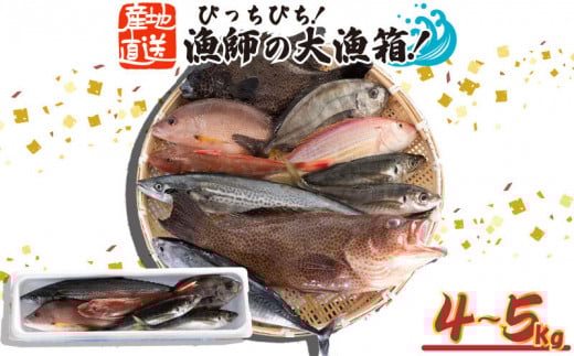 魚 鮮魚 ボックス 4kg〜5kg 旬 鮮度 抜群 おまかせ 詰め合わせ 海鮮 魚介 新鮮 高知県 須崎市 MT005高知県須崎市35000魚介・海産物