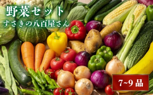 野菜 7〜9品目 セット 詰め合わせ 季節 新鮮 旬 産地直送 高知県 須崎市 NK001高知県須崎市8000野菜・きのこ豆類
