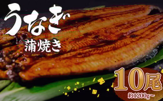 L Ȃ  10 1.2kgȏi 120g`140g × 10 j | t yp̉N̓ mY V Ђ܂Ԃ Ș ȏd Ε Mtg Ⓚ {B ӂ邳Ɣ[łȂ m {s `^t
