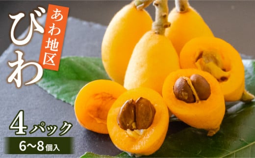 【 早期予約受付 5月中旬頃より順次発送 】びわ フルーツ 果物 おすすめ 6 ~8個 4 パック 約 1.2kg 旬 果実 ギフト 枇杷 期間限定 高知県 須崎市 高級 季節 初夏 新着 高知 贈答高知県須崎市8000果
