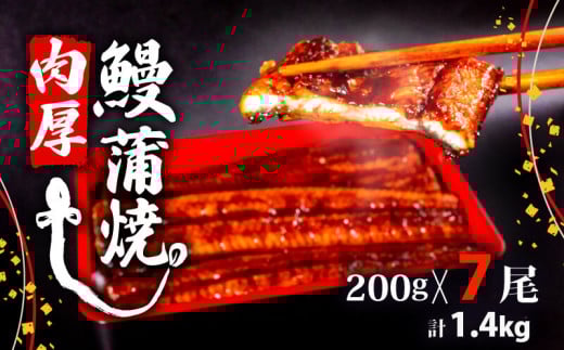 うなぎ 蒲焼 肉厚 鰻 1.4kg ( 200g×7尾 セット ) ふっくら 香ばしい 頭付き 鰻 手焼き 蒲焼 タレ付き ふっくら 香ばしい うなぎ蒲焼き 鰻蒲焼 台湾産 養殖鰻 養殖うなぎ 冷凍 惣菜 真空パック 温