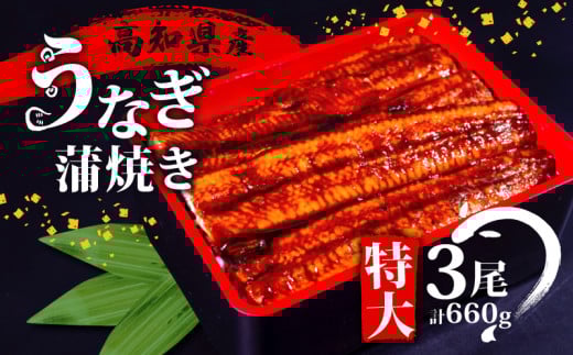 国産 うなぎ 蒲焼き 3尾 ( 1尾 約220g ) 尾頭付き 土用の丑の日 高知県産 蒲焼 特大 特上 鰻 ひつまぶし うな丼 うな重 お歳暮 ギフト 冷凍 養殖 ふるさと納税うなぎ 高知県 須崎市 秘伝タレ付き