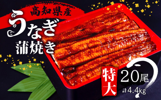Y Ȃ Ă 20 ( 1 220g ) t yp̉N̓ mY    V Ђ܂Ԃ Ș ȏd Ε Mtg Ⓚ {B ӂ邳Ɣ[łȂ m {s `^t