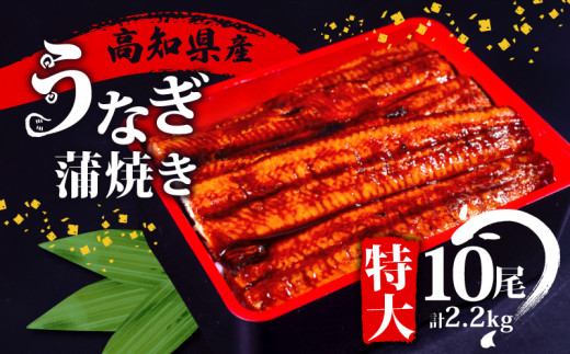 国産 うなぎ 蒲焼き 10尾 ( 1尾 約220g ) 尾頭付き 土用の丑の日 高知県産 蒲焼 特大 特上 鰻 ひつまぶし うな丼 うな重 お歳暮 ギフト 冷凍 養殖 ふるさと納税うなぎ 高知県 須崎市 秘伝タレ付