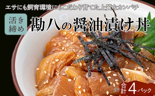  Ђ 60g × 4pbN | CN  ݖЂ  Jp` ς y И y   hg  Mtg lC Hi Ђ Ⓚ Z Y Yn ݂Ȃ݊ m {