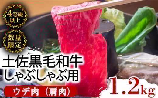 y  a Ԃԗp 1.2kg i 600g × 2pbN j |  Ef  ŏʓ A4 A5 ōN ґ Ԃԁ@ XCX ēp  Ⓚ Y  1kg ȏ m { T