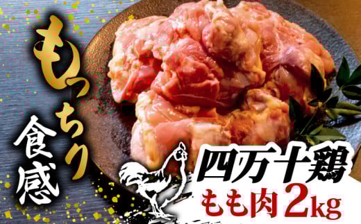 { l\{  2kg | ؐg Jbgł񂽂񎞒ZZbg Jbgς  Ƃɂ { ① Y uh g ϕ  `L  m {s TM018_xm{s11000Z