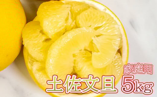 【 先行予約 】 土佐文旦 5kg 高知県産 柑橘 フルーツ 文旦 ぶんたん ブンタン 分担 果物 みかん 文旦 産地直送 高知県 須崎 須崎市 南国高知からの贈り物 ME023_x高知県須崎市9000果物・フルー