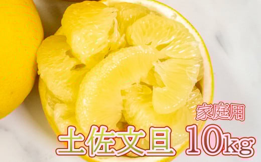 【 先行予約 】 土佐文旦 10kg 高知県産 柑橘 フルーツ 文旦 ぶんたん ブンタン 分担 果物 みかん 文旦 産地直送 高知県 須崎 須崎市 南国高知からの贈り物 ME024_x高知県須崎市16000果物・フルー