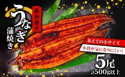 国産 うなぎ の 蒲焼き 5尾 ( 1尾 100g ~ 120g ) 尾頭付き 土用の丑の日 高知県産 蒲焼 特上 鰻 ひつまぶし うな丼 うな重 お歳暮 ギフト 冷凍 養殖 ふるさと納税うなぎ 高知県 須崎市 秘伝タレ付