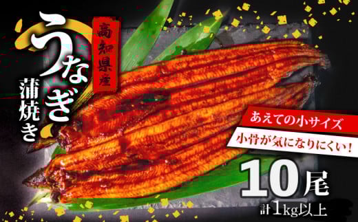 国産 うなぎ の 蒲焼き 10尾 ( 1尾 100g ~ 120g ) 尾頭付き 土用の丑の日 高知県産 蒲焼 特上 鰻 ひつまぶし うな丼 うな重 お歳暮 ギフト 冷凍 養殖 ふるさと納税うなぎ 高知県 須崎市 秘伝タレ付