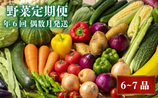 【早期予約】【2026年2月より順次発送】 定期便 6回 偶数月発送 旬 野菜 詰め合わせ セット 6 〜 7品 数量限定  限定80セット やさい 頒布会 ほうれん草 ブロッコリー ニンジン 人参 じゃがいも