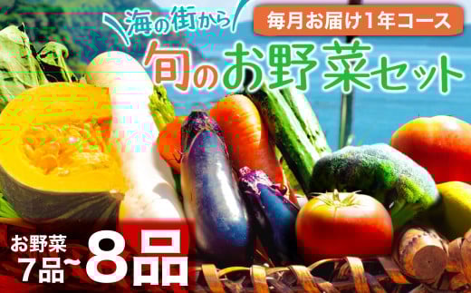 定期便 1年 12回 12ヶ月 旬 野菜 詰め合わせ セット 約 7~8品 やさい 毎月 届く  頒布会 ( 小夏 キャベツ ネギ ピーマン オクラ きゅうり かぼちゃ パプリカ ブロッコリー トマト カブ タマネギ