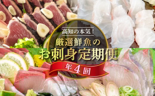 刺身 定期便 4ヶ月 小島水産 がお届けする! 美味しい お刺身 ( 鮮魚 下処理済 ) 産地直送 4回( カンパチ カツオ 鯛 ブリ )  新鮮 定期 刺身 魚貝 かんぱち 勘八 鰹 かつお カツオのタタキ