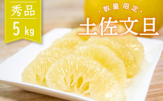 【2026年2月より順次発送】土佐文旦 秀品 5kg 高知県産 柑橘 フルーツ 文旦 ぶんたん ブンタン 果物 産地直送 高知県 須崎 KG008高知県須崎市15000果物・フルーツみかん・柑橘類