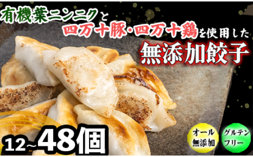 有機 黒 ニンニク と 四万十 豚 で作った 最高級 餃子 ( 6個入り x 8パック )ぎょうざ ギョウザ にんにく 高知 野菜高知県須崎市17500鍋セット・総菜・加工食品総菜