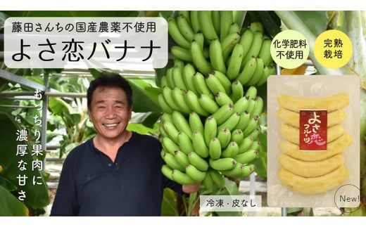 無農薬 冷凍 バナナ パック 800g 国産 藤田さんちの無農薬バナナ 化学肥料不使用 高知県 須崎市高知県須崎市11000果物・フルーツその他 果物・フルーツ