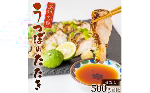 JcIɕԓy̖! ڂ̃^^L 500g ^t  VR R[Q m    hg DK005-xm{s30000ECYȂ
