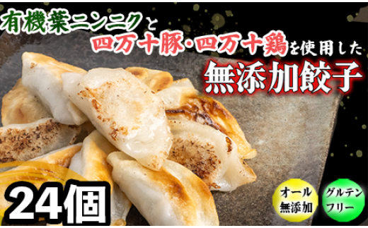 有機 葉 ニンニク と 四万十豚 で作った 最高級 餃子 ( 6個入り x 4パック )ぎょうざ ギョウザ にんにく 高知 野菜高知県須崎市10000鍋セット・総菜・加工食品総菜
