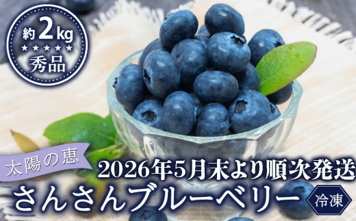 【早期予約開始!!2026年5月末より順次発送】【秀品】ブルーベリー 500g × 4 パック 冷凍 健康 食品 果物 フルーツ ベリー そのまま おやつ 朝食 加工 お菓子 製菓 シャーベット ジャム ソース