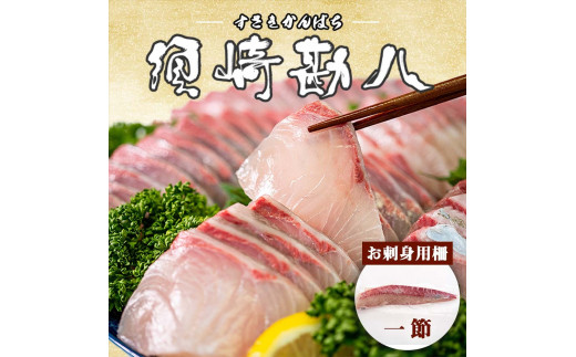 高級カンパチ 「須崎勘八」 1節 約0.3〜0.4kg 冷蔵 神経締め 刺身 お刺し身 高級魚 鮮魚 海鮮 魚介 かんぱち高知県須崎市15000魚介・海産物鮮魚