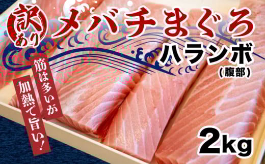 【訳あり】 メバチマグロ 腹身 部分 訳あり まぐろ 鮪 刺身 刺し身 切身 おかず 惣菜 手軽 便利 魚 魚介類 海鮮 新鮮 国産マグロ 国産 マグロ丼 海鮮丼 鉄火丼 ふるさと納税 人気 ふるさと納