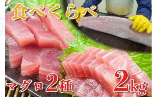 󂠂 o`}O n{ 1kg Ln_}O Ԑg 1kg Hה Zbg }O ܂  n~ g hg hg ؐg y  т̂ CN SΘ }O ӂ邳Ɣ[ lC