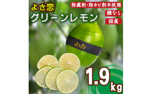 햳 悳O[ 10~12 1.9kg ƒp  h sgp  EG Y VN YEG Y ʕ    N t[c Yn ʌ m {