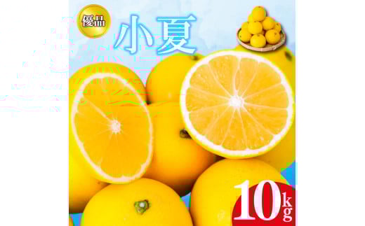 【2026年4月より発送】 小夏 優品 10kg 高知県産 早期予約 予約受付中 期間限定 季節限定 限定 旬 みかん ミカン サマーオレンジ 贈答用 贈り物 プレゼント KJS022高知県須崎市27000果物・フルー