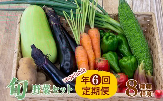 【 定期便 6回 】 野菜 8 種類 セット | お楽しみ やさい セット 旬 春 夏 秋 冬 採れたて 新鮮 農家 直送 詰め合わせ 国産 季節 フレッシュ きゅうり ピーマン なす トマト 大根 白菜 頒布会 高