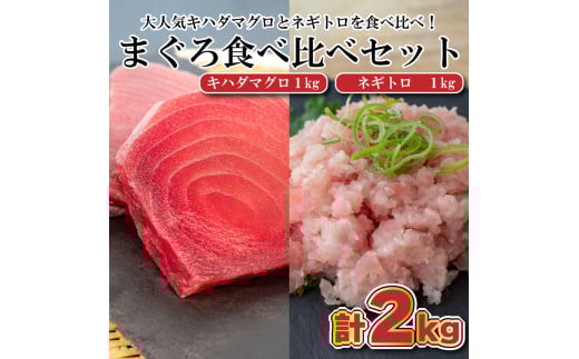 まぐろ 食べ比べ ( 赤身 ネギトロ ) 小分け 真空パック 冷凍 マグロ 鮪 マグロのたたき セット 刺身 刺し身 ネギトロ丼 海鮮丼 ご飯のお供 おかず 惣菜 手軽 便利 ふるさと納税 人気 ふるさと
