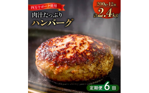 6ヶ月定期便 四万十ポーク入りハンバーグ 2.4kg(200g×12個) 冷凍 真空 小分け 個包装 肉汁たっぷり ハンバーグ 大容量 ハンバーグ 合挽き ハンバーグ 牛肉 ハンバーグ 豚肉 ハンバーグ  お弁当
