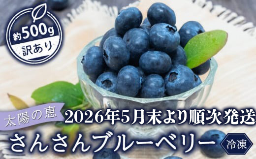【早期予約開始!!2026年5月末より順次発送】【訳あり】 ブルーベリー 500g × 1 パック 冷凍 健康 食品 果物 フルーツ ベリー そのまま おやつ 朝食 加工 お菓子 製菓 シャーベット ジャム ソー
