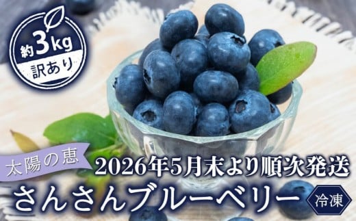 【早期予約開始!!2026年5月末より順次発送】【訳あり】 ブルーベリー 500g x 6 パック 合計 3kg 冷凍 健康 食品 果物 フルーツ ベリー そのまま おやつ 朝食 加工 お菓子 製菓 シャーベット ジャ