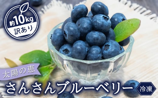 【早期予約開始!!2026年5月末より順次発送】【訳あり】 ブルーベリー 5 kg x 2 パック 合計 10kg 冷凍 健康 食品 果物 フルーツ ベリー そのまま おやつ 朝食 加工 お菓子 製菓 シャーベット ジャ