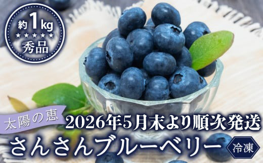【早期予約開始!!2026年5月末より順次発送】【秀品】ブルーベリー 500g × 2 パック 合計 1kg 冷凍 健康 食品 果物 フルーツ ベリー そのまま おやつ 朝食 加工 お菓子 製菓 シャーベット ジャム