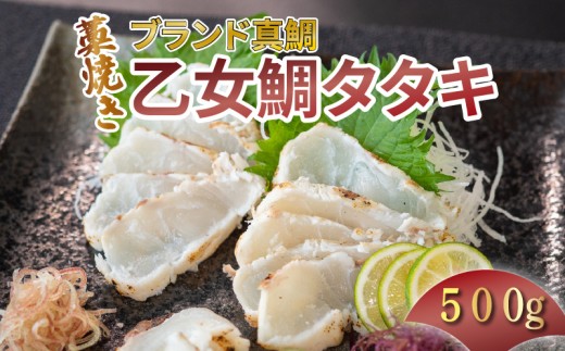 真鯛 わら焼き タタキ 500g 産地直送 小島水産 ブランド 乙女鯛 鯛 タイ 真鯛 高知県 須崎市高知県須崎市10000魚介・海産物鮮魚