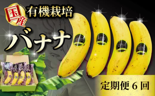 【毎月6回定期便】高級 バナナ 500g 以上 6回 国産 有機栽培 高知初 糖度 25度以上 果物 フルーツ 高知県 須崎市高知県須崎市67000果物・フルーツその他 果物・フルーツ