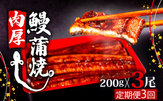 【3ヶ月連続定期便】うなぎ 蒲焼 肉厚 養殖 鰻  200g×3尾 セット ( ふっくら 香ばしい 頭付き 鰻 手焼き 蒲焼 タレ付き ふっくら 香ばしい うなぎ蒲焼き 鰻蒲焼 台湾産 養殖鰻 養殖うなぎ 冷凍
