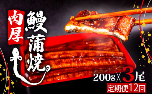 【12ヶ月連続定期便】うなぎ 蒲焼 肉厚 養殖 鰻  200g×3尾 セット ( ふっくら 香ばしい 頭付き 鰻 手焼き 蒲焼 タレ付き ふっくら 香ばしい うなぎ蒲焼き 鰻蒲焼 台湾産 養殖鰻 養殖うなぎ 冷凍