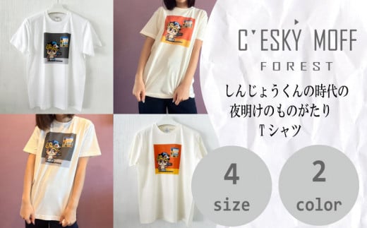 񂶂傤N 閾 ̂ TVc { m m  S2F S4TCY FO017m{s10000ߗށEiEH|ȋ iEH|i