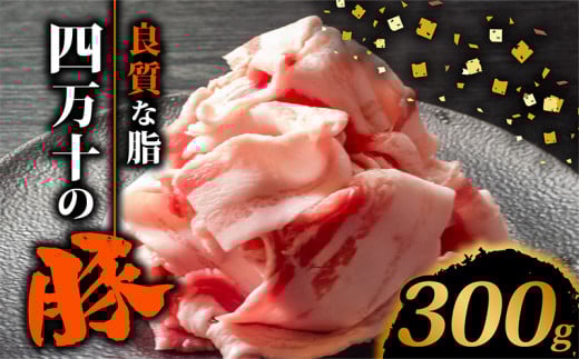 四万十ポークスライス300g | 豚肉 豚バラ肉 小分け 小間切れ スライス 切り落とし 冷凍 真空パック 簡単調理 細切れ 大容量 肉 高知県 須崎市 TM034高知県須崎市6000肉豚肉