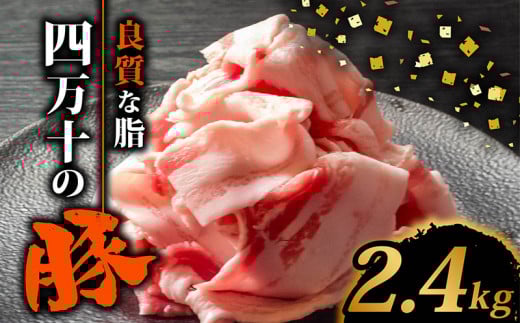 四万十ポークスライス2.4kg | 300g × 8パック セット 豚肉 豚バラ肉 小分け 小間切れ スライス 切り落とし 冷凍 真空パック 簡単調理 細切れ 大容量 肉 高知県 須崎市 TM039高知県須崎市21500肉豚
