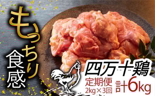 【定期便3回】銘柄鶏 四万十鶏 もも肉 計6kg(2kg×3ヶ月連続お届け) Sコース | 切身 カット 時短 小分け カット済み 鳥肉 とりにく 鶏もも 冷蔵 国産 ブランド 唐揚げ 煮物 鍋 チキン 南蛮 高知